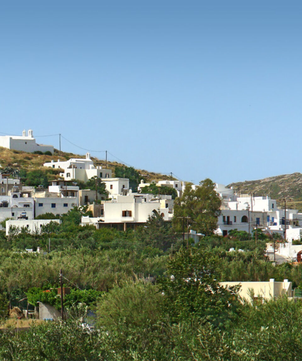 Naxos_Egares_tango7174