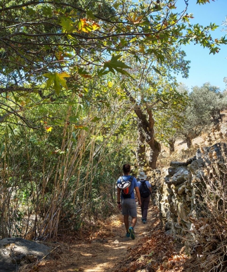 Naxos_TrekkingByzantine_Exp_Chalki_4 (1)