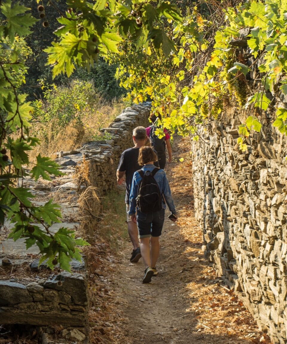 Naxos_TrekkingRural_Potamia_1 (1)