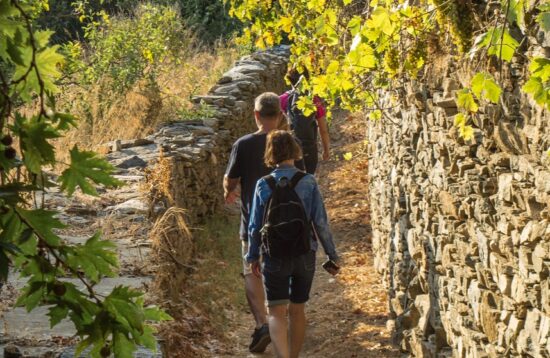 naxos hiking tours