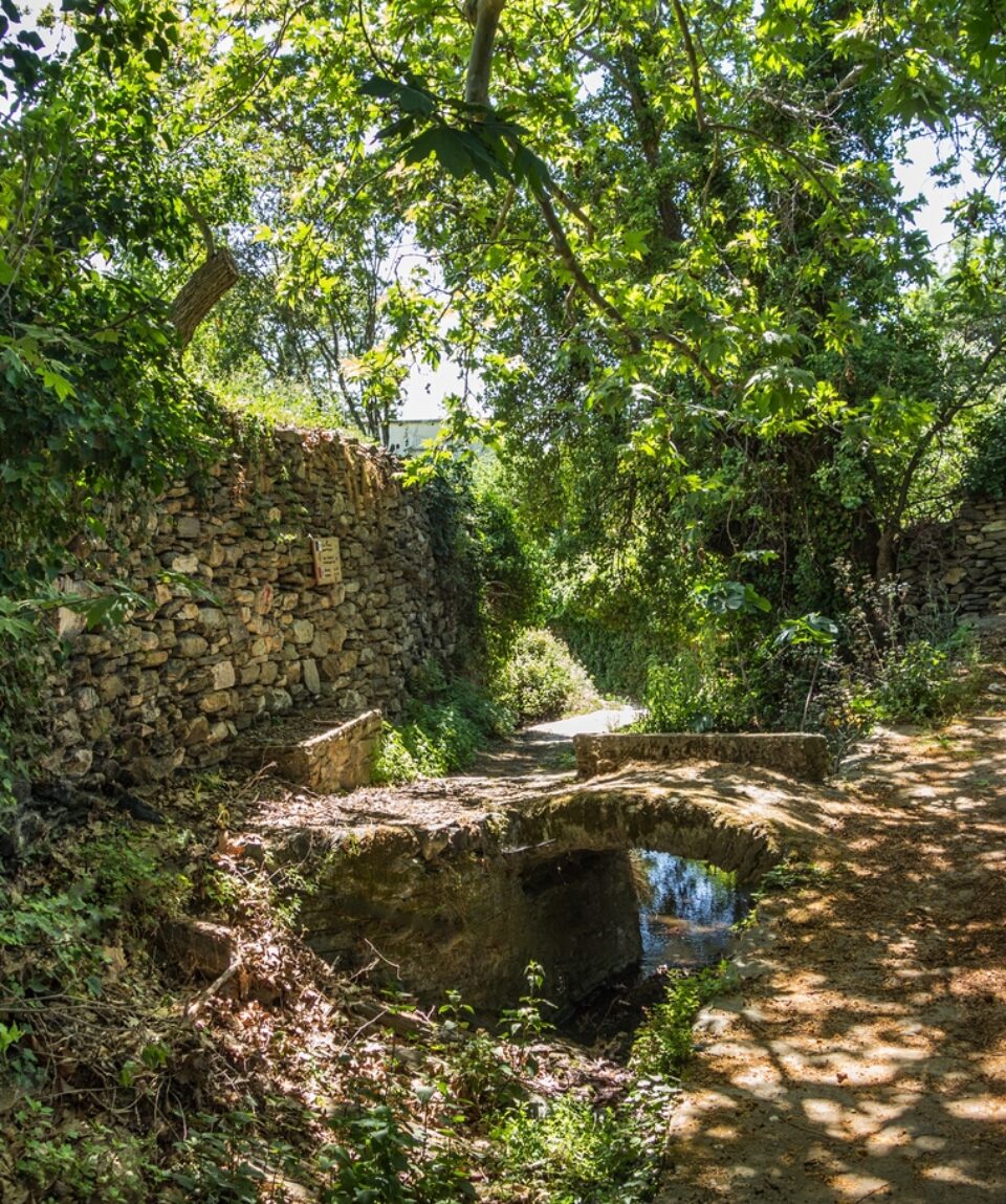 Naxos_TrekkingRural_Potamia_4 (1)