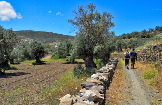 naxos hiking tours