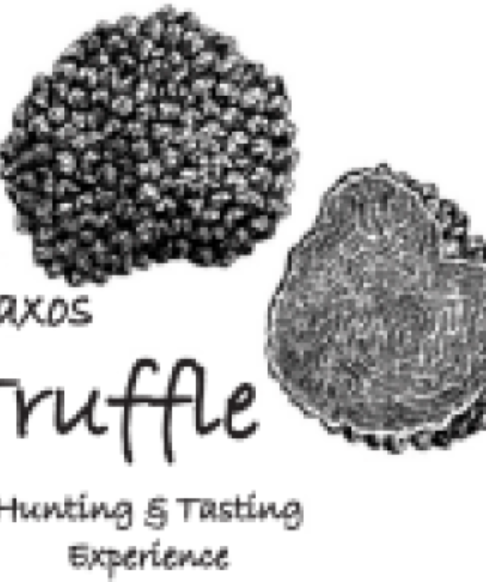 logo-truffle-2 (1)