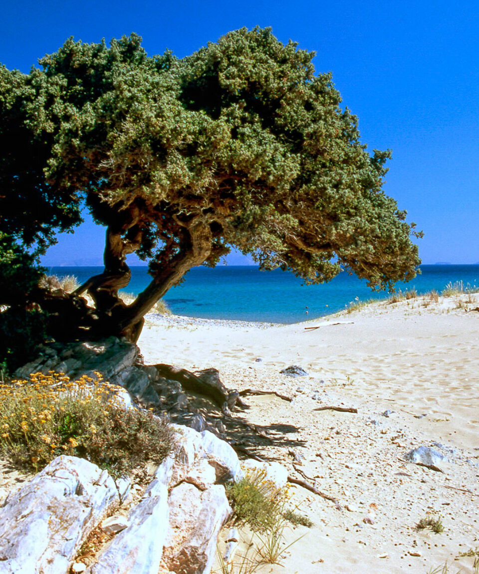 pyrgaki-beach-naxos